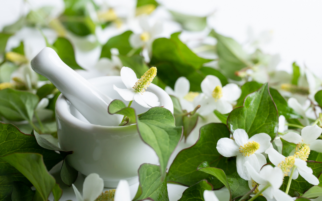 Heartleaf Hautpflegekollektion | Wonder Skin Deutschland