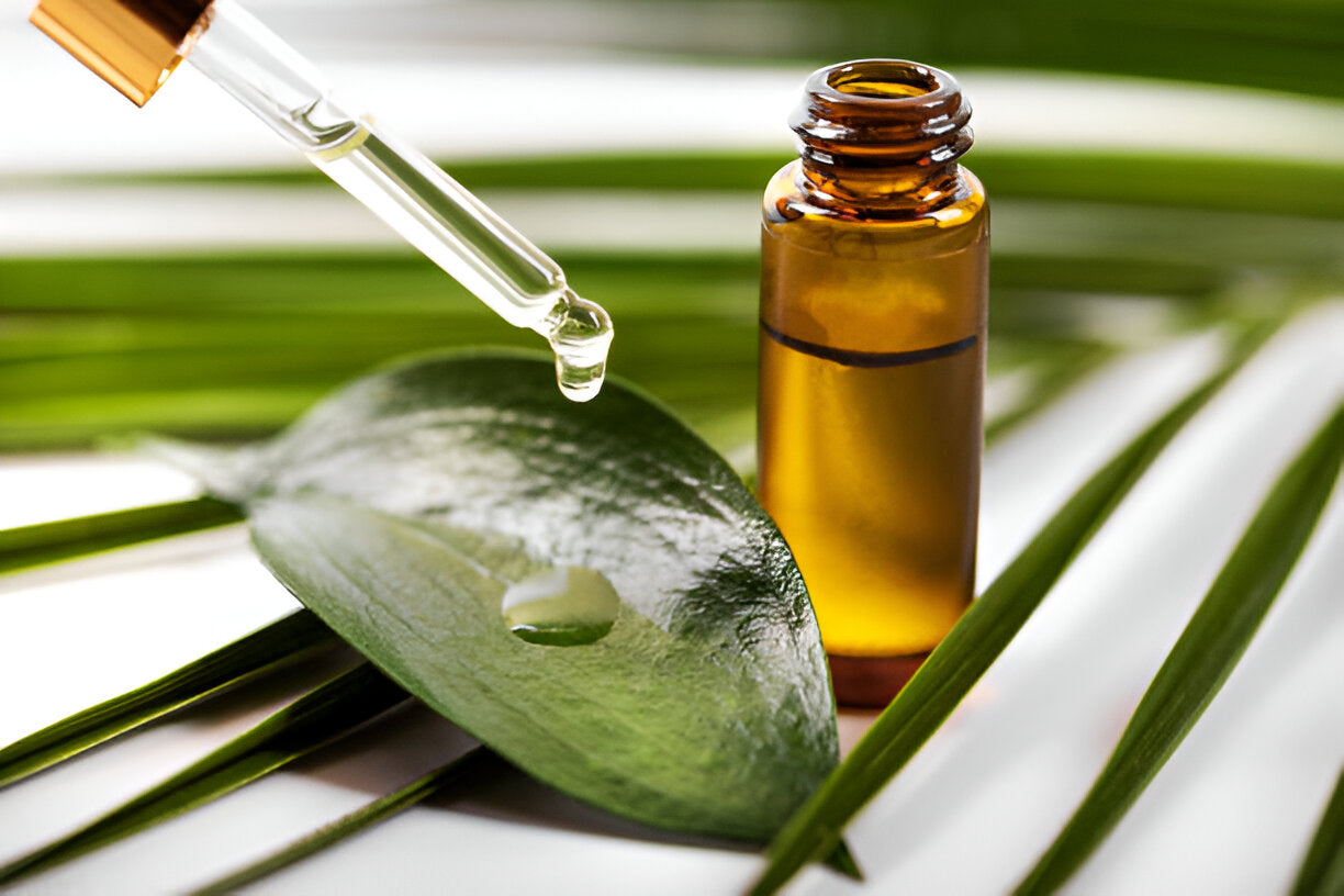 Grüner Tee Hautpflegeprodukte | Wonder Skin Deutschland