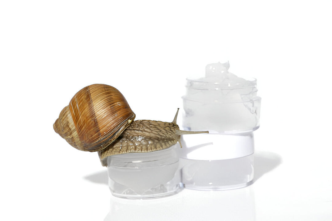 Snail Mucin / Schneckenschleim