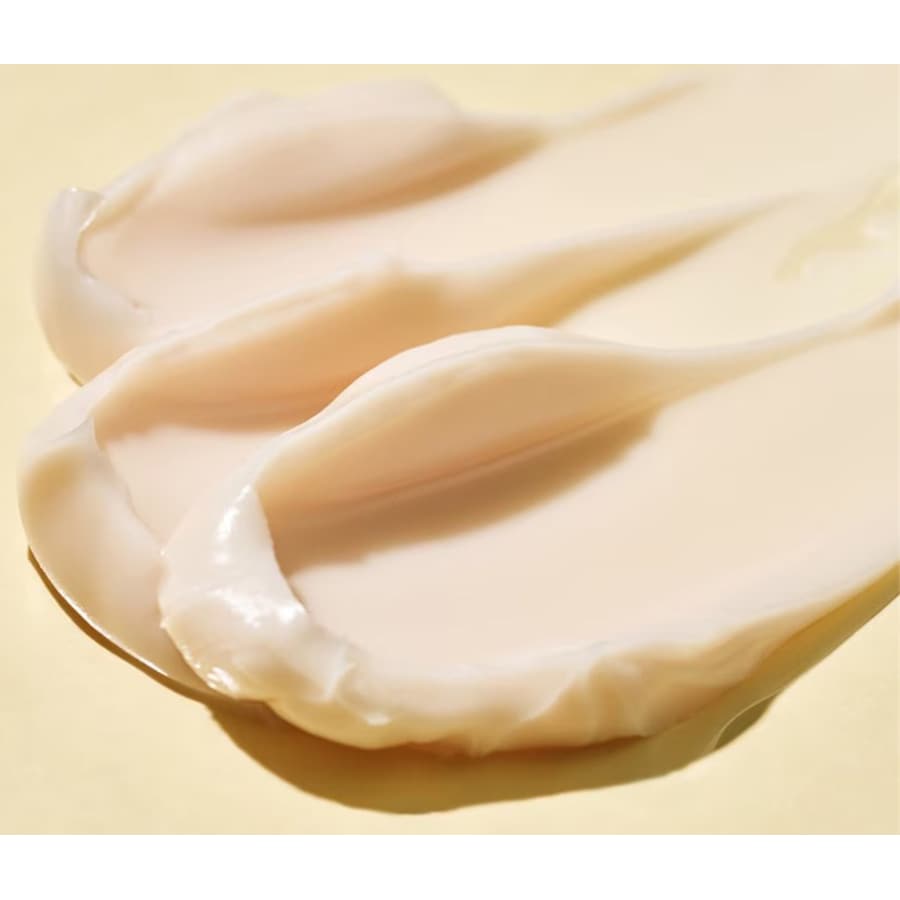 Ceramidin Ectoin-angereicherte Creme | Wonder Skin