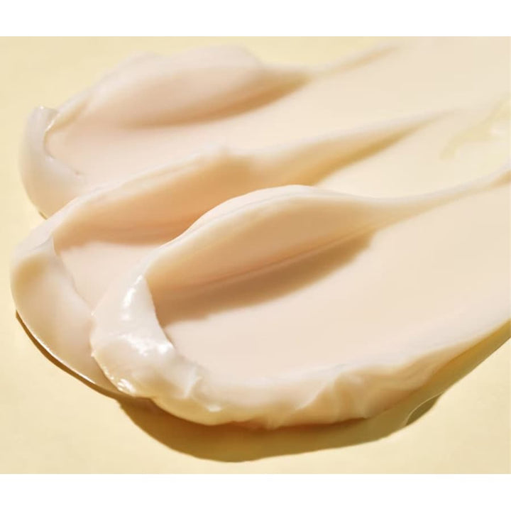 Ceramidin Ectoin-angereicherte Creme | Wonder Skin