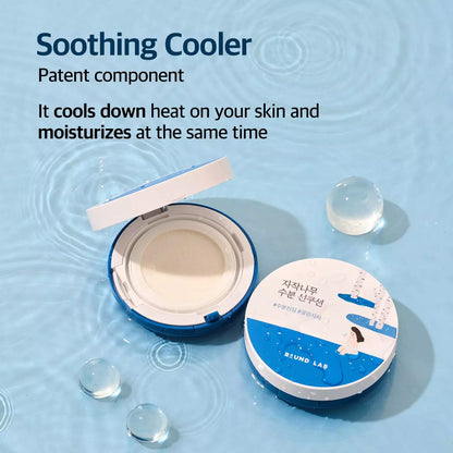 Round Lab - Birch Juice Moisutrizing Sun Cushion SPF 50+ PA++++, 15g