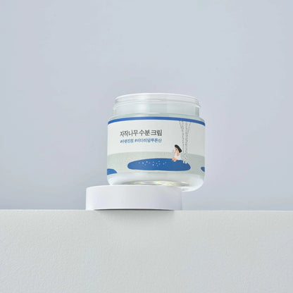 Birken Saft Feuchtigkeitspflege-Creme | Wonder Skin