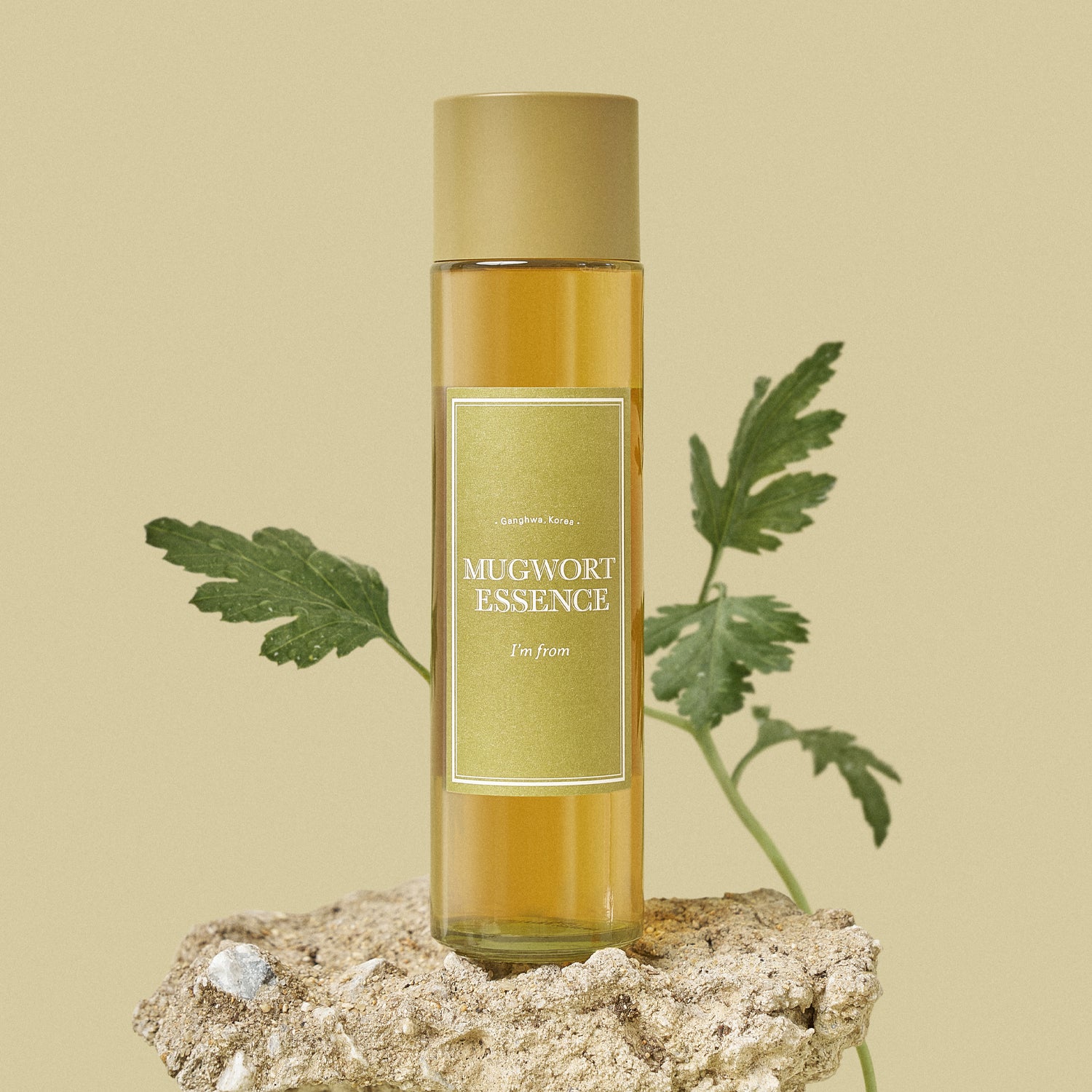 I'm From Mugwort Essence | Mugwort Essence | Wonder Skin Deutschland
