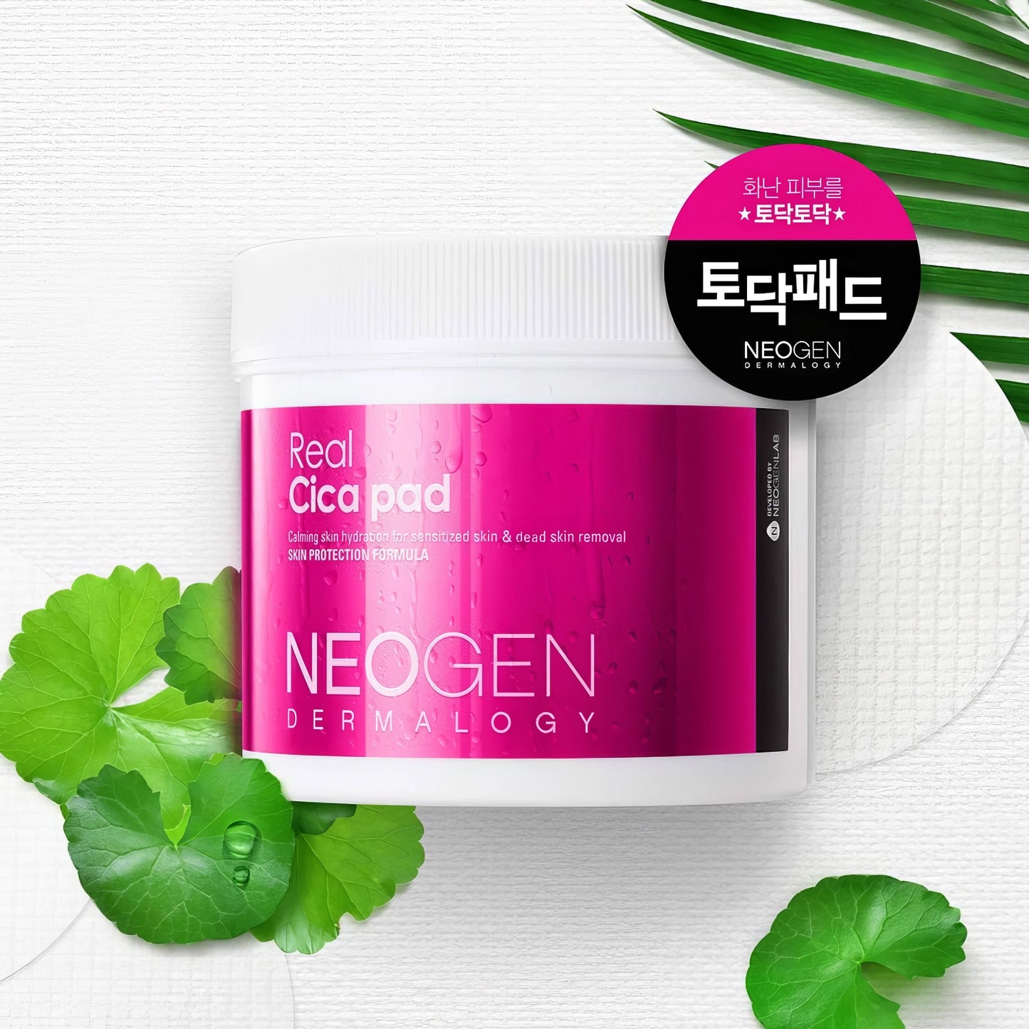 Neogen - Dermalogy Real Cica Pad - 90pcs/150ml-Wonder Skin