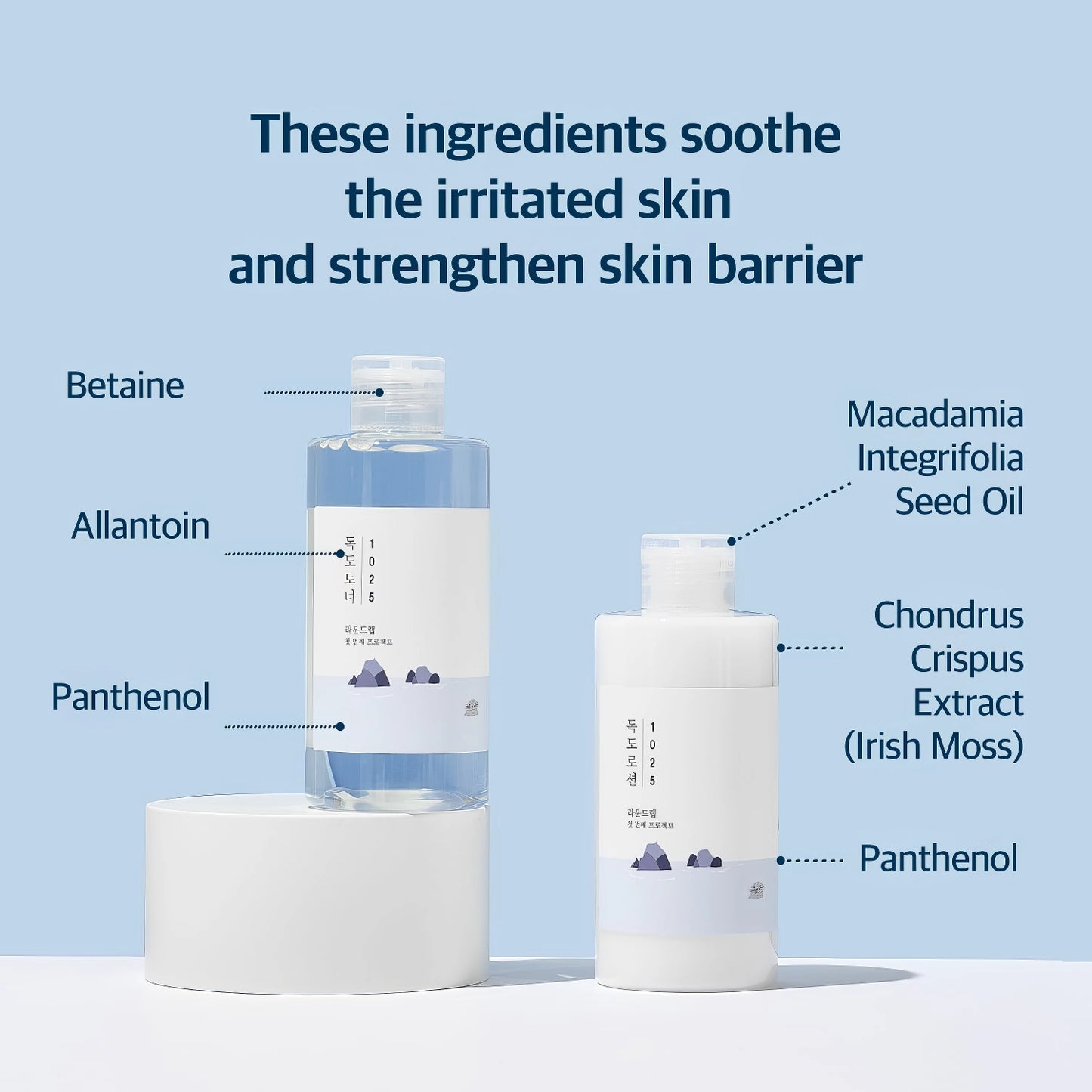 Round Lab - 1025 Dokdo Toner Lotion Special Set 200ml+200ml-Wonder Skin