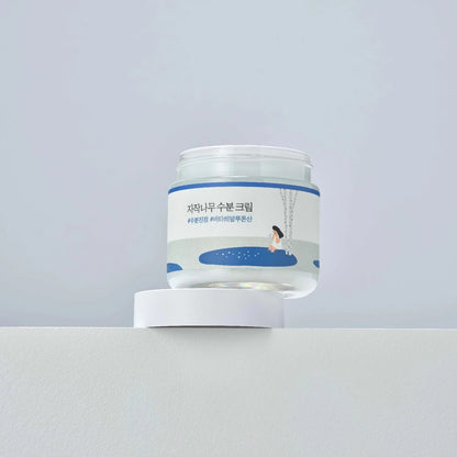Round Lab - Birch Juice Cream - 80 ml-Wonder Skin