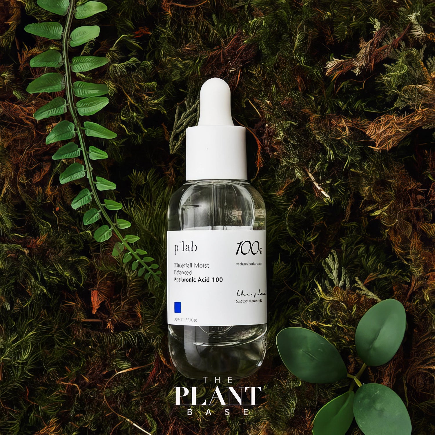 THE PLANT BASE - Waterfall Moist Balanced Hyaluronic Acid 100 - 30ml-Wonder Skin
